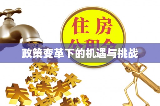 怀柔政策变革下的机遇与挑战