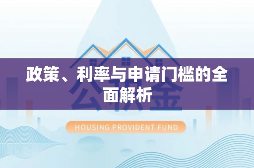 怀柔政策、利率与申请门槛的全面解析