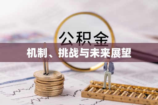 怀柔机制、挑战与未来展望