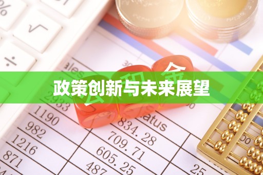 怀柔政策创新与未来展望