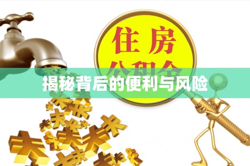 怀柔揭秘背后的便利与风险